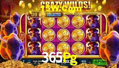365Pg